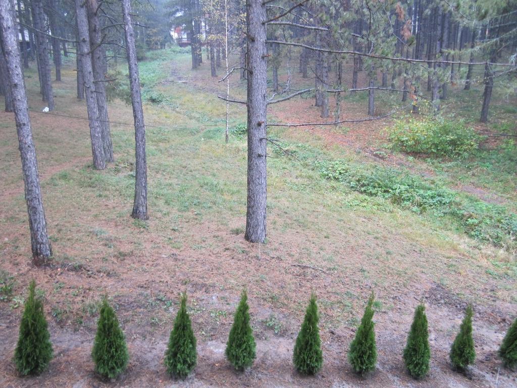 Apartment Kiki Zlatibor Bilik gambar